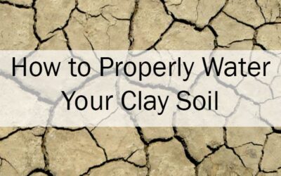 How do North Texas soils cause foundation problems?