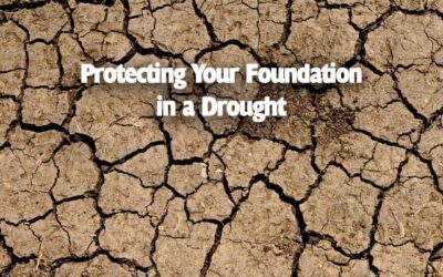Tips and Strategies for protecting your foundation in a drought